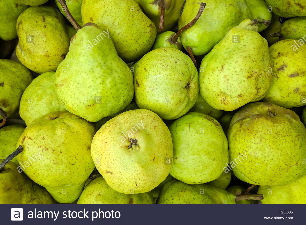 Green Pear Background Fresh Peares Variety Grown In The Shop