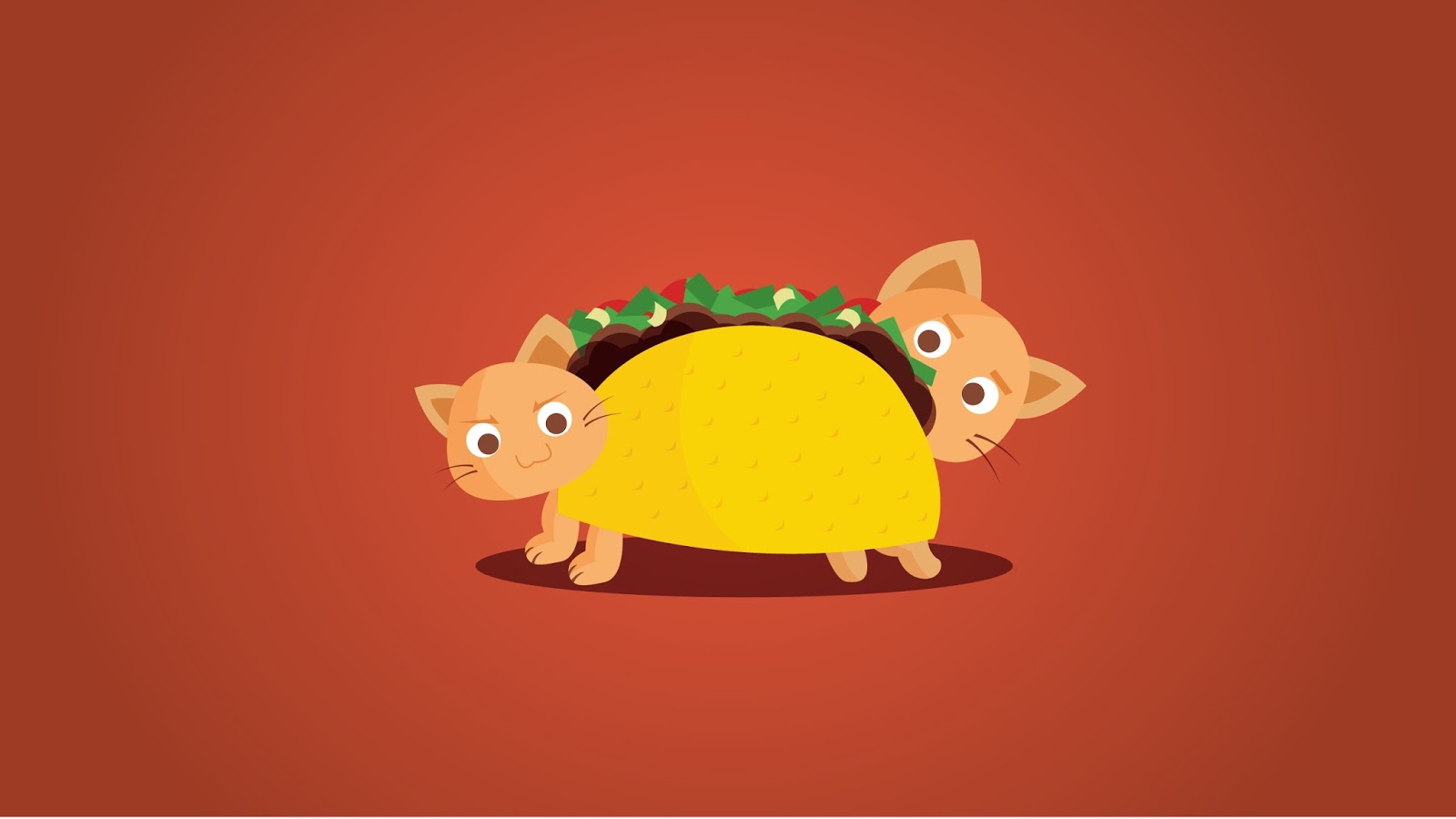 Cute Taco Wallpaper Cat To