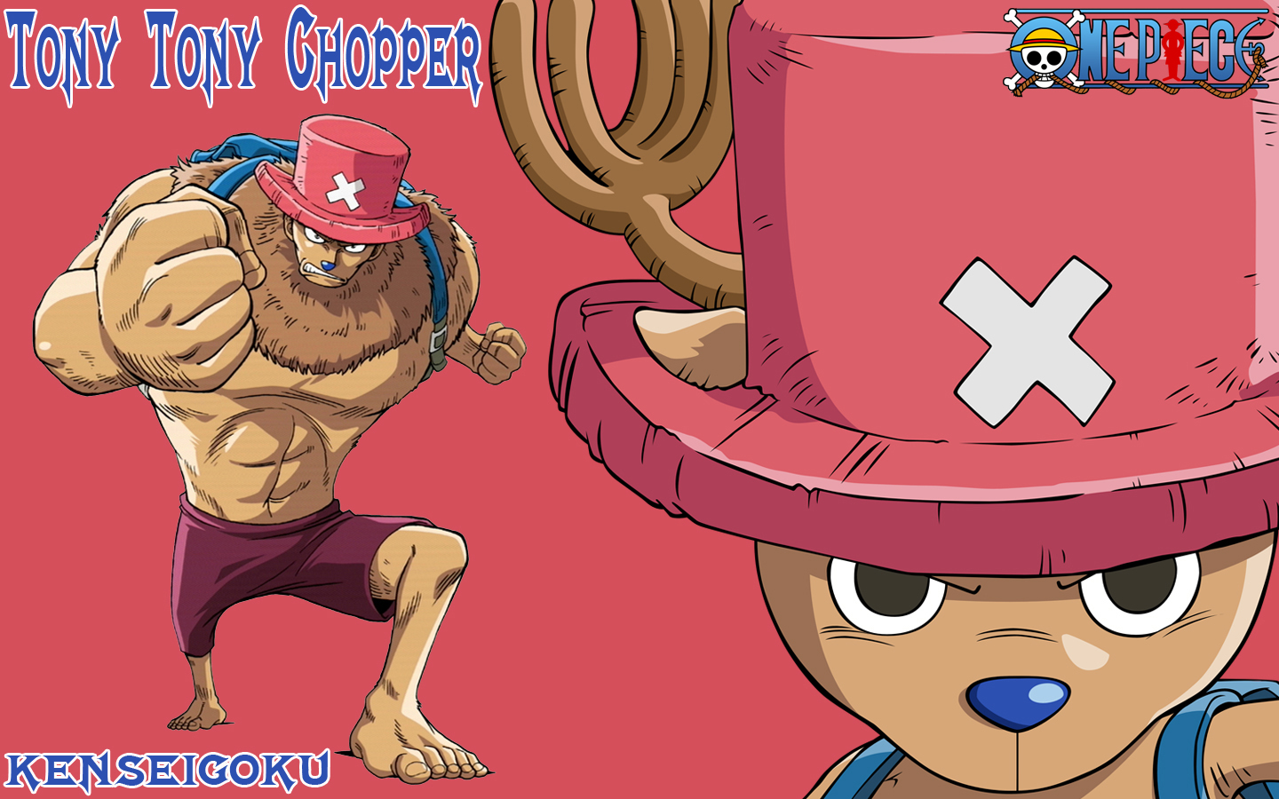 Free download one piece chopper wallpaper pc [1440x900] for your Desktop,  Mobile & Tablet | Explore 49+ One Piece Chopper Wallpaper | One Piece Anime  Wallpaper, One Piece Wallpapers, One Piece Zoro Wallpaper