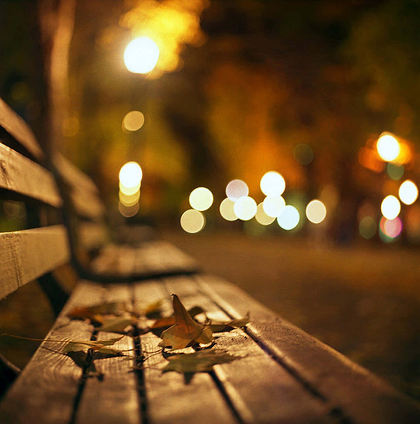 A cozy park bench at night, illuminated by warm streetlights, with fallen autumn leaves adding a touch of seasonal charm