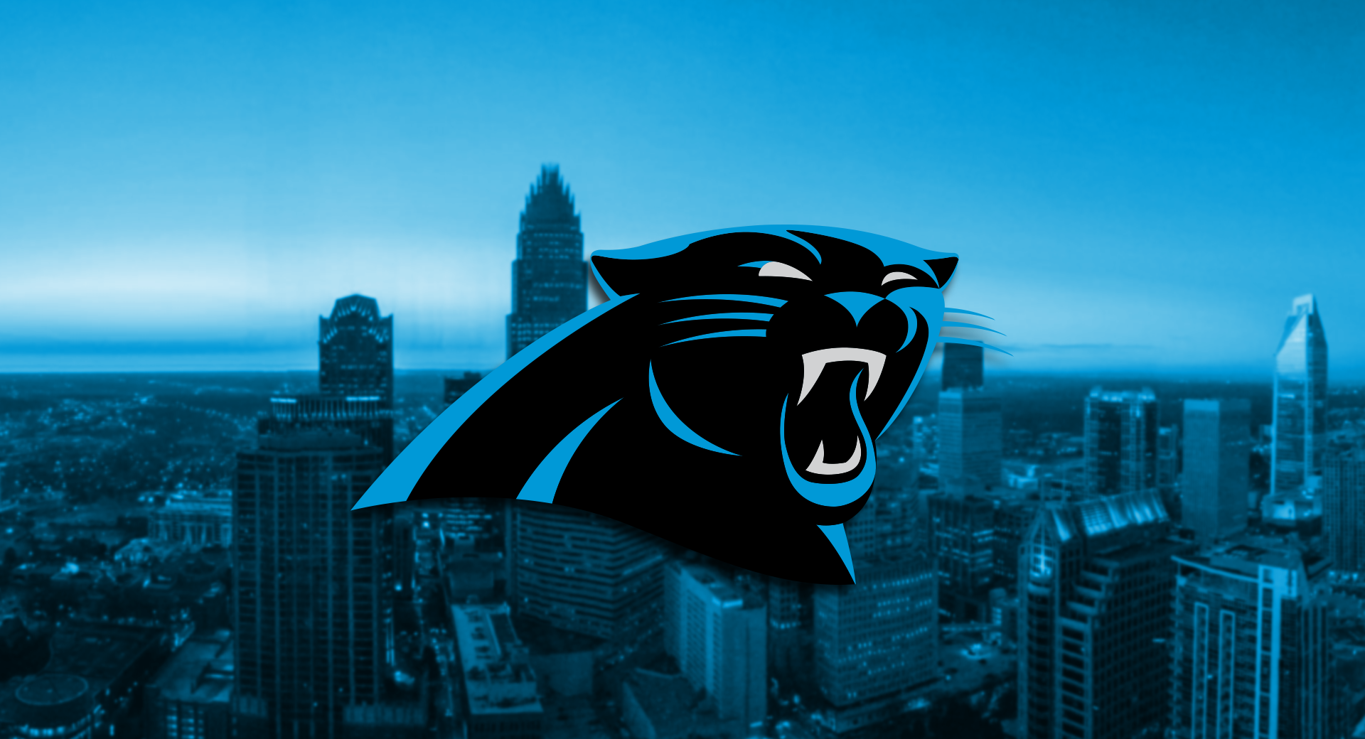 Carolina Panthers Logo Wallpaper HD Net