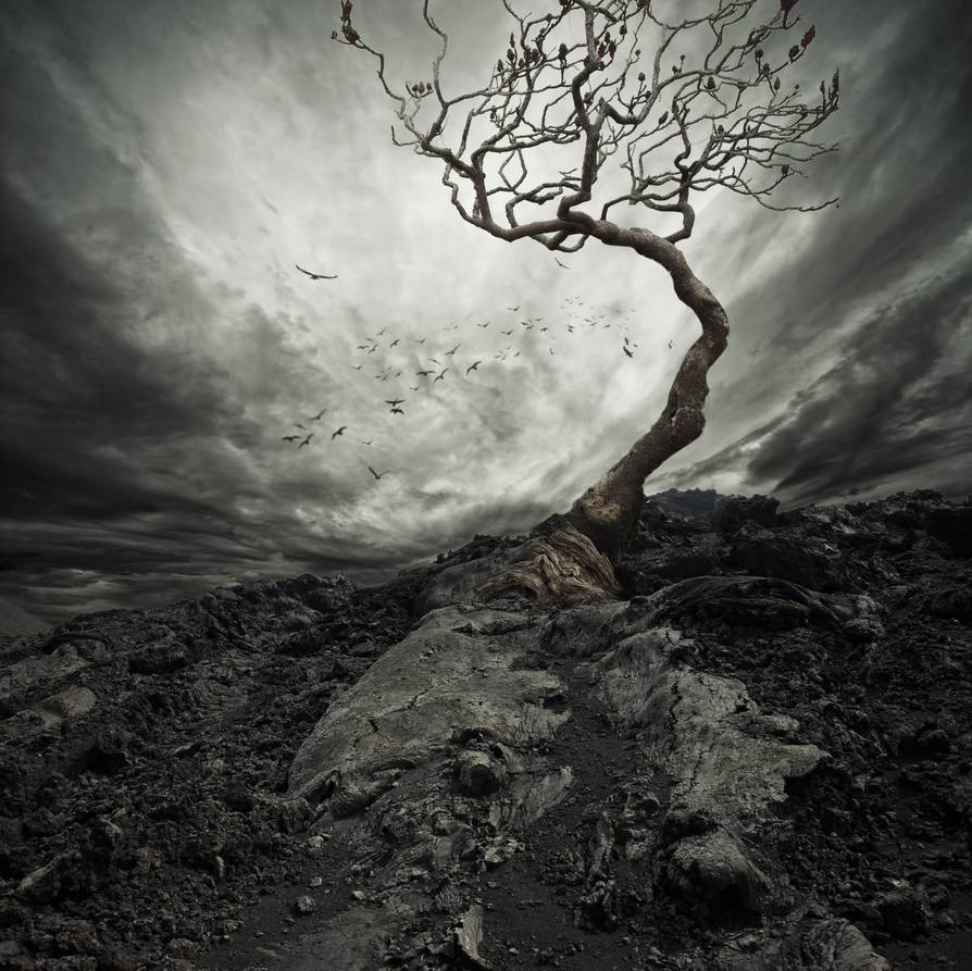 Errie Mystery Background By Hz Designs