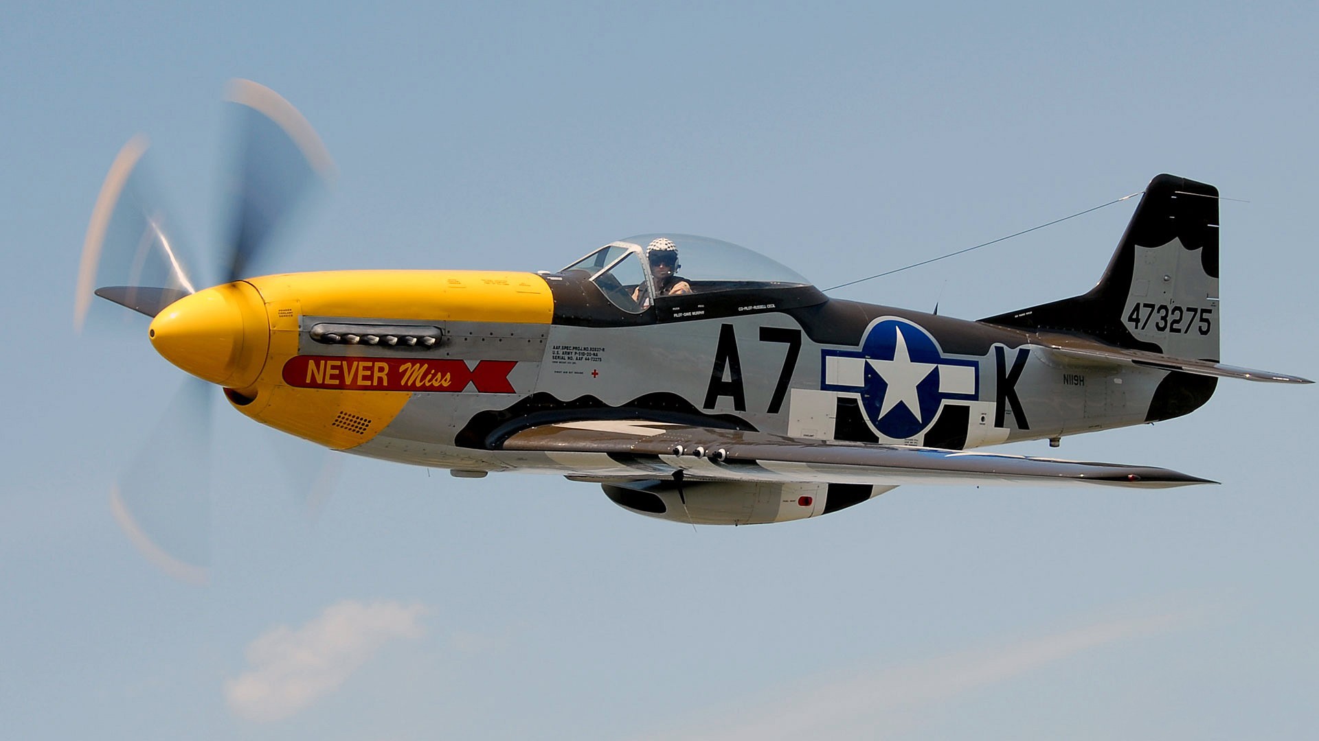 Mustang p51 Wallpaper