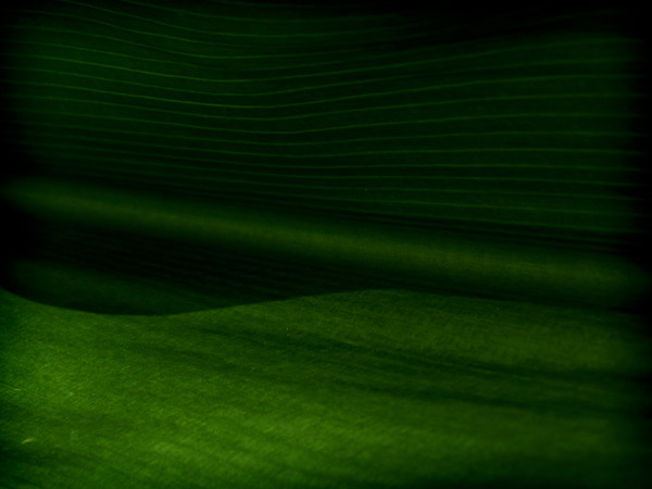Dramatic Background Textures Graphicsfuel