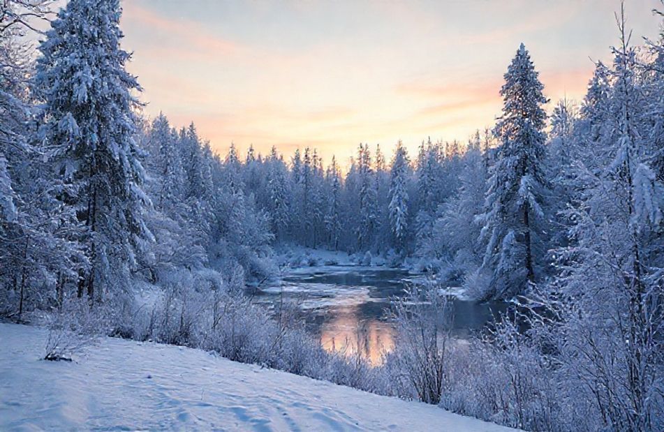 Winter Background Wallpaper
