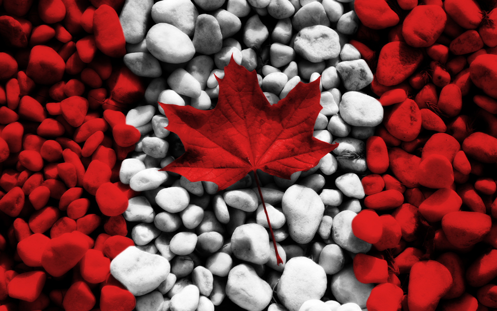 Canada Flag HD Wallpapers for Mobile 1   apisbd