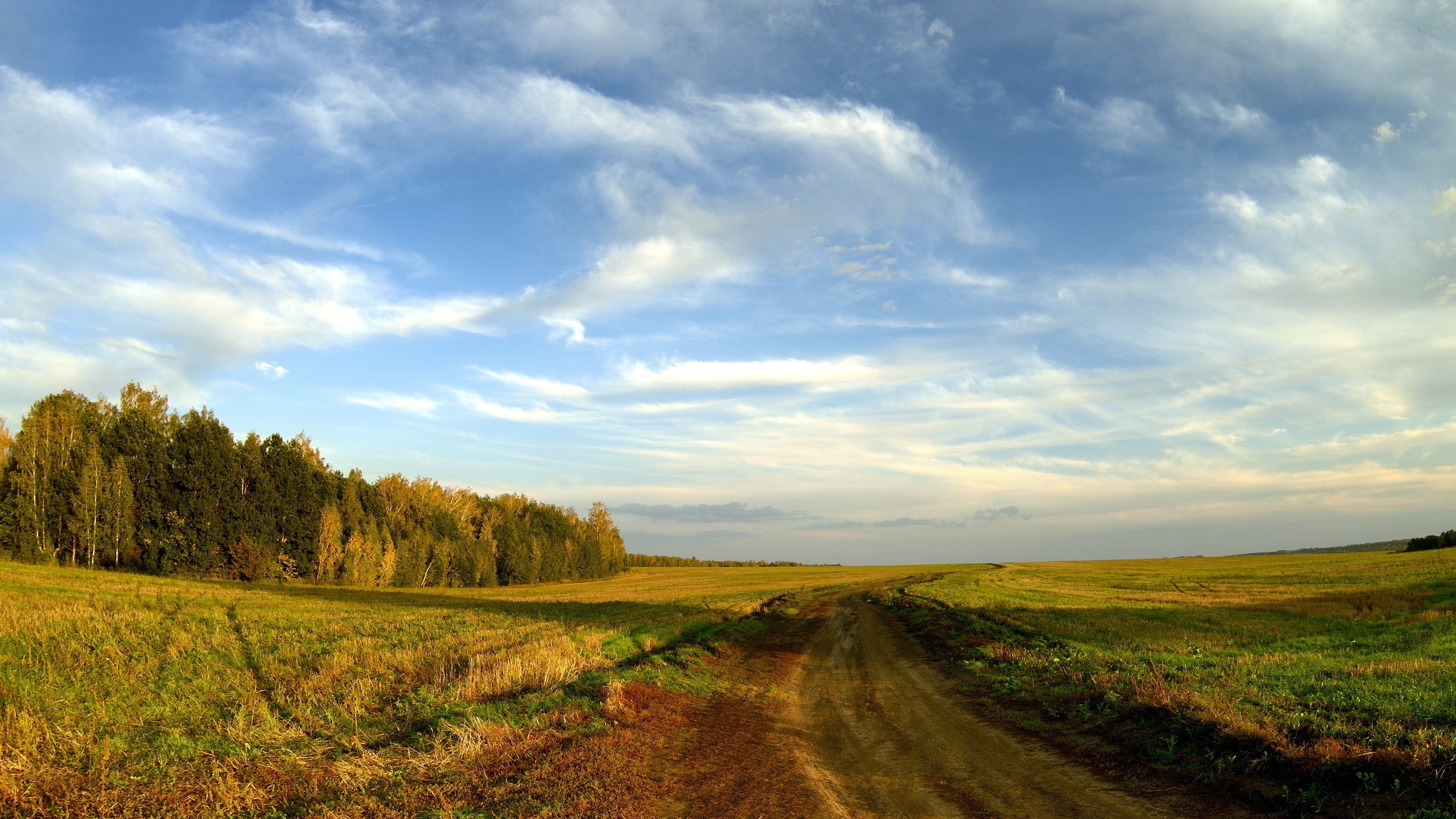 Country Spaces Trees Horizon Landscape Road Blue Field Sky