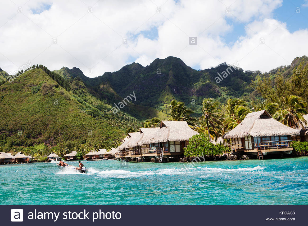 [51+] Moorea Backgrounds | WallpaperSafari