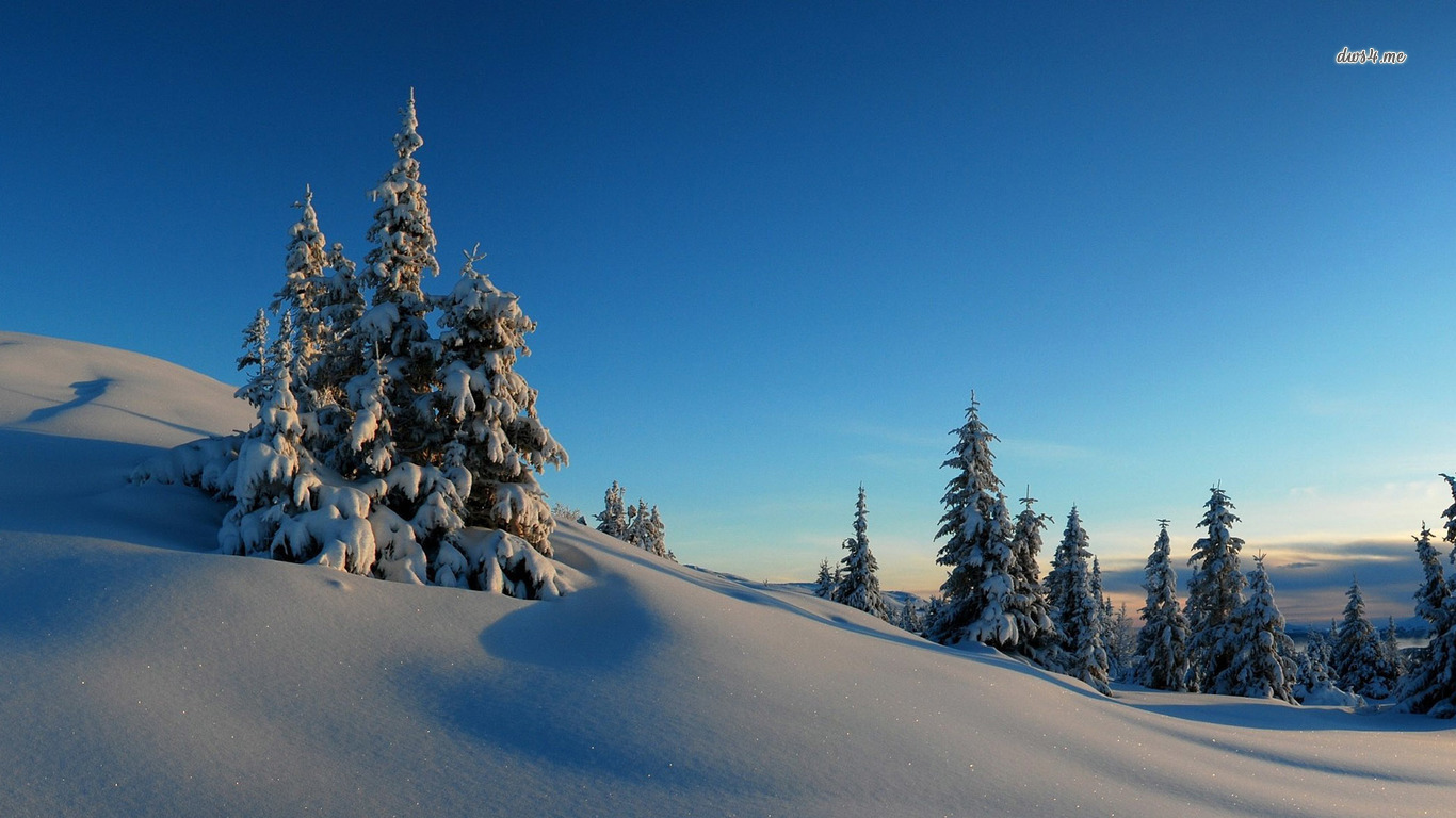 Winter Day In The Snowy Mountains Wallpaper Sunny