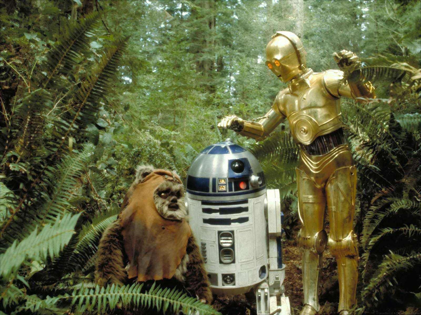 R2 D2 And C 3po Meet An Ewok On Endor In Star Wars Episode Vi Return