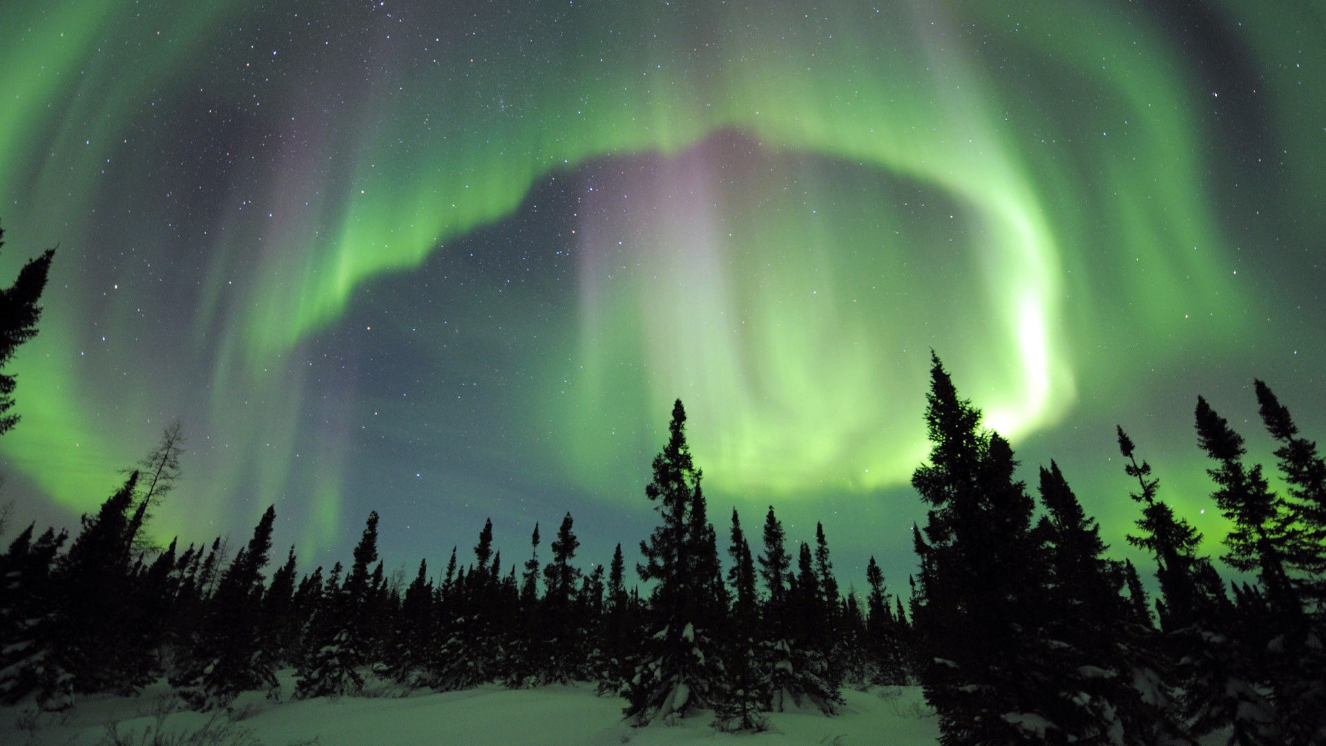Northern Lights HD wallpapers Northern Lights Images