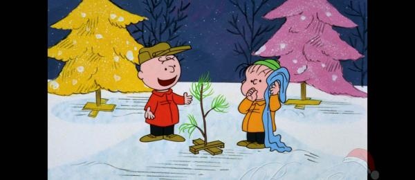 Charlie Brown Christmas Picture Charlie Brown Christmas Pinterest