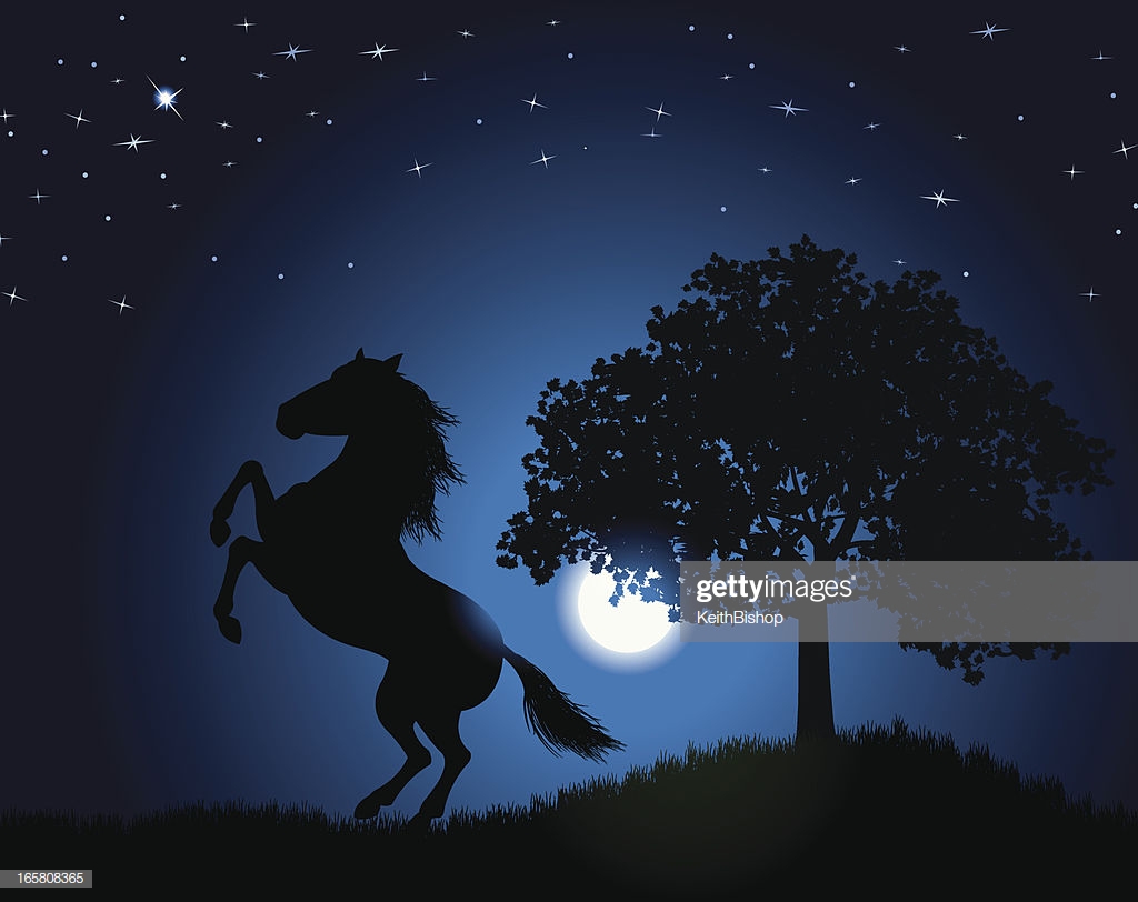 Wild Stallion Background Horse Under The Moonlight High Res Vector