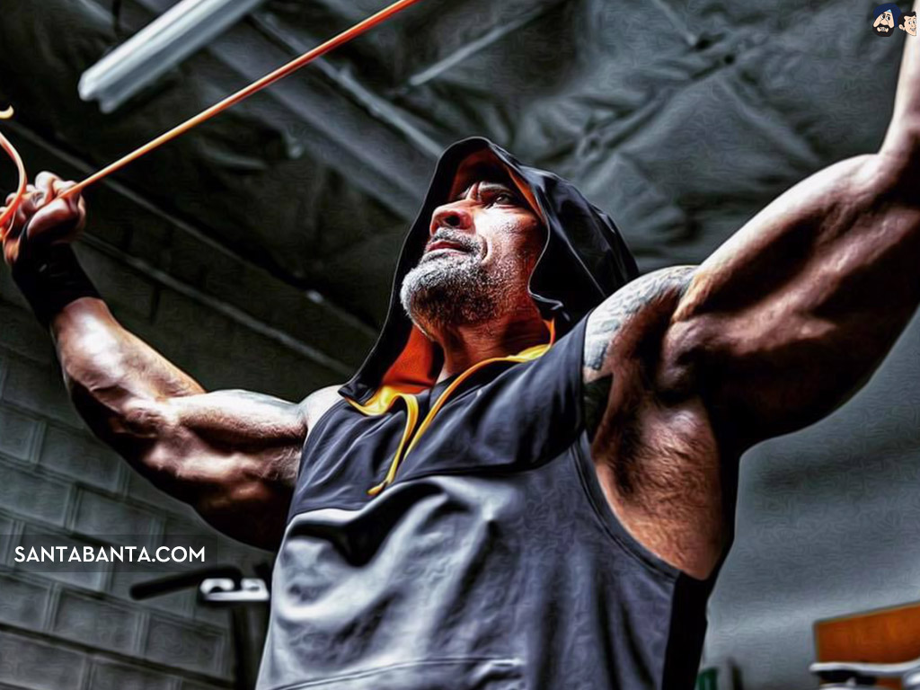 Dwayne Johnson   Gym The Rock Bodybuilder   1024x768 Wallpaper