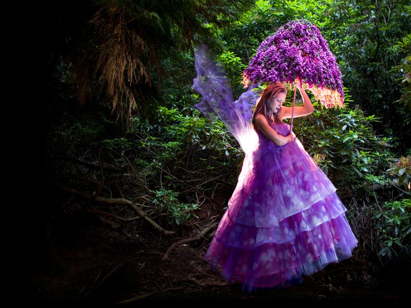 Purple Forest Fairy Wallpaper