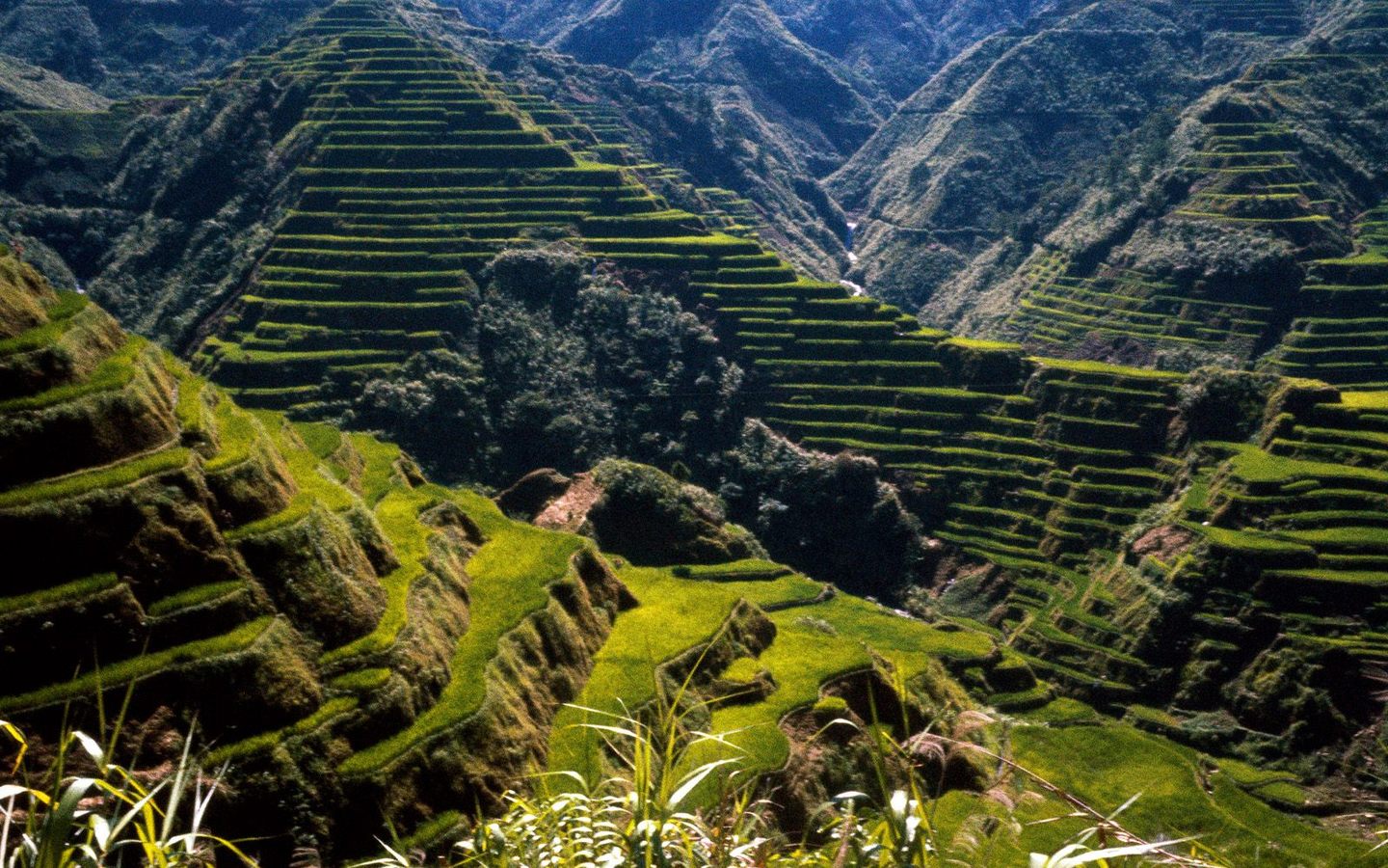 Hq Ancient Rice Terraces Philippines Wallpaper