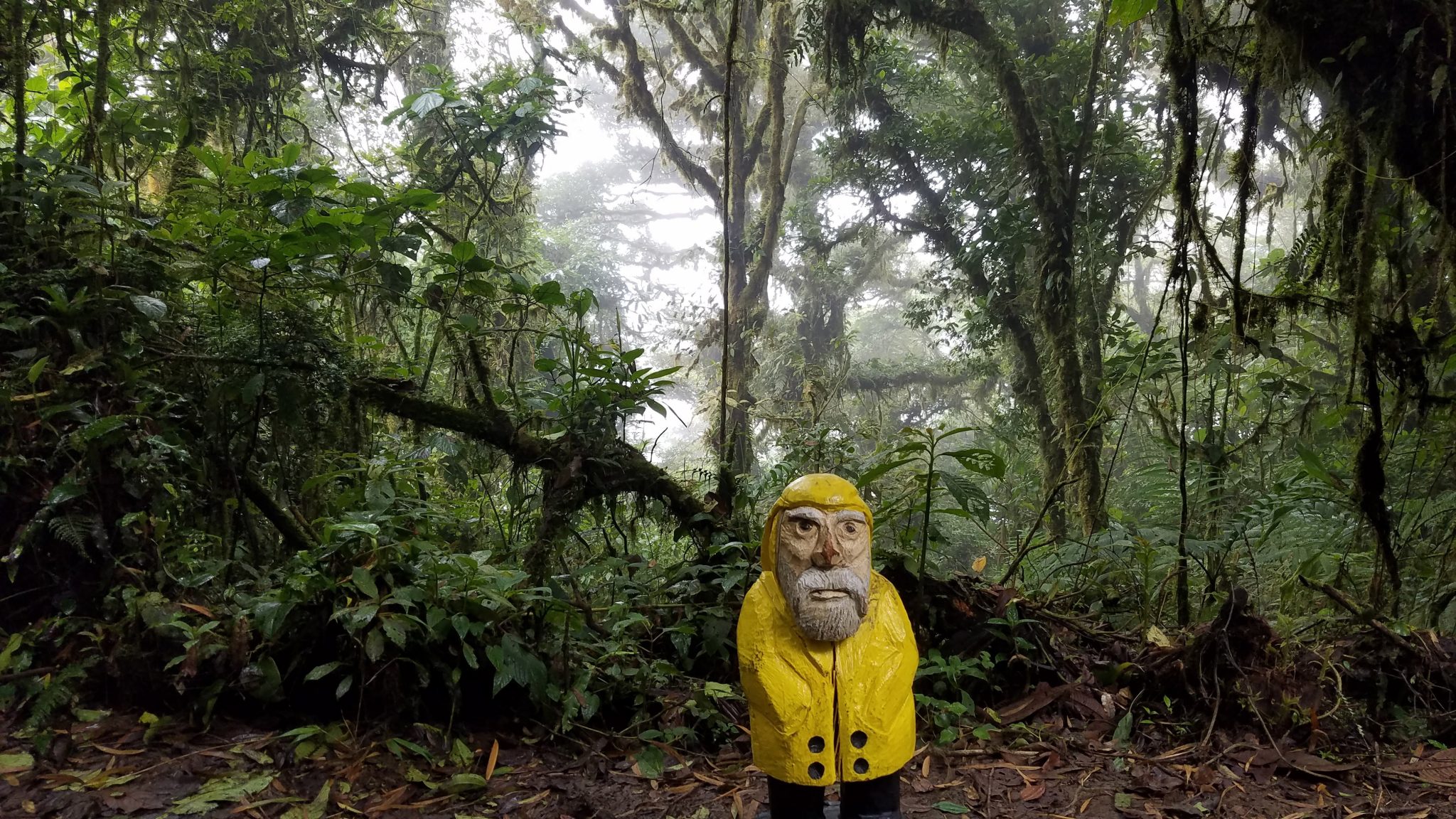 Monteverde Cloud Forest Biological Reserve Private Sanctuary For