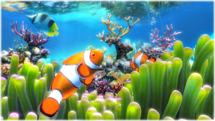 Screenshots of Clownfish Aquarium Live Wallpaper 3858