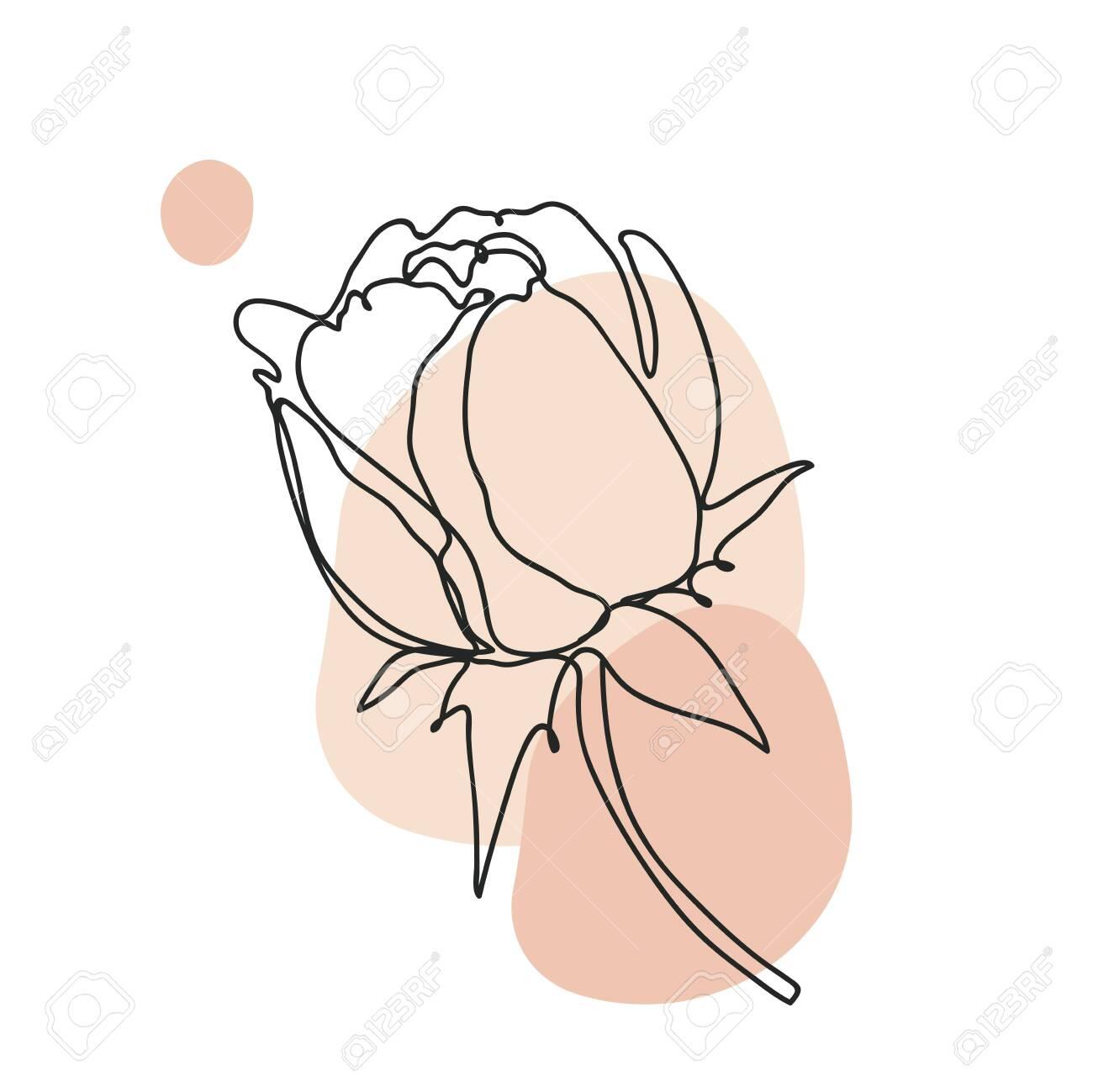 Rose Flower Icon Line Art Abstract Minimal Flora Design For Cover