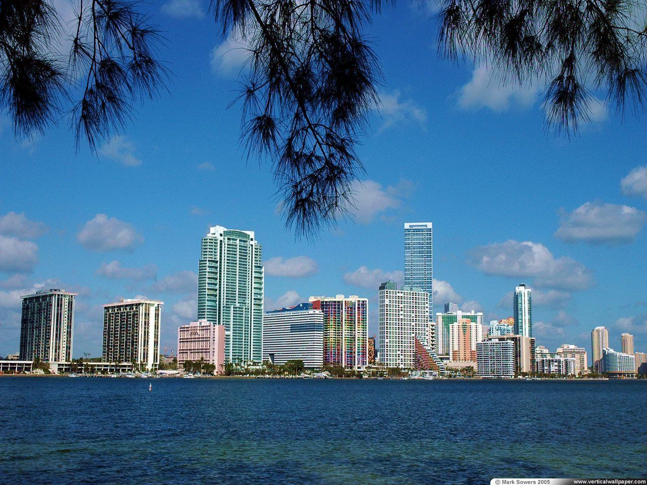 Miami Skyline Wallpaper