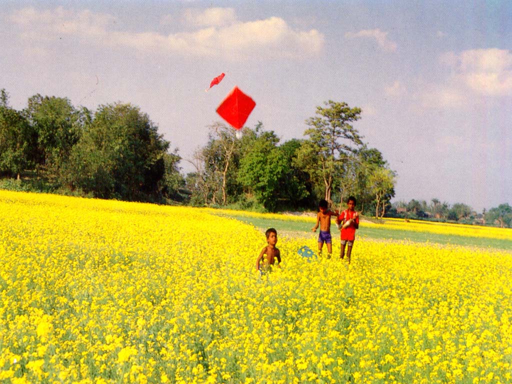 Natural Scenery Of Bangladesh Wallpaper Flying Kites In
