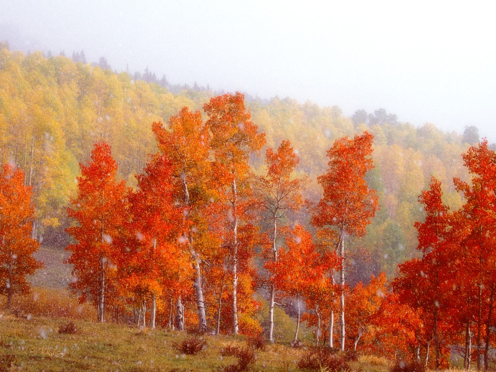 The Autumn Wallpaper Category Of HD Scenery