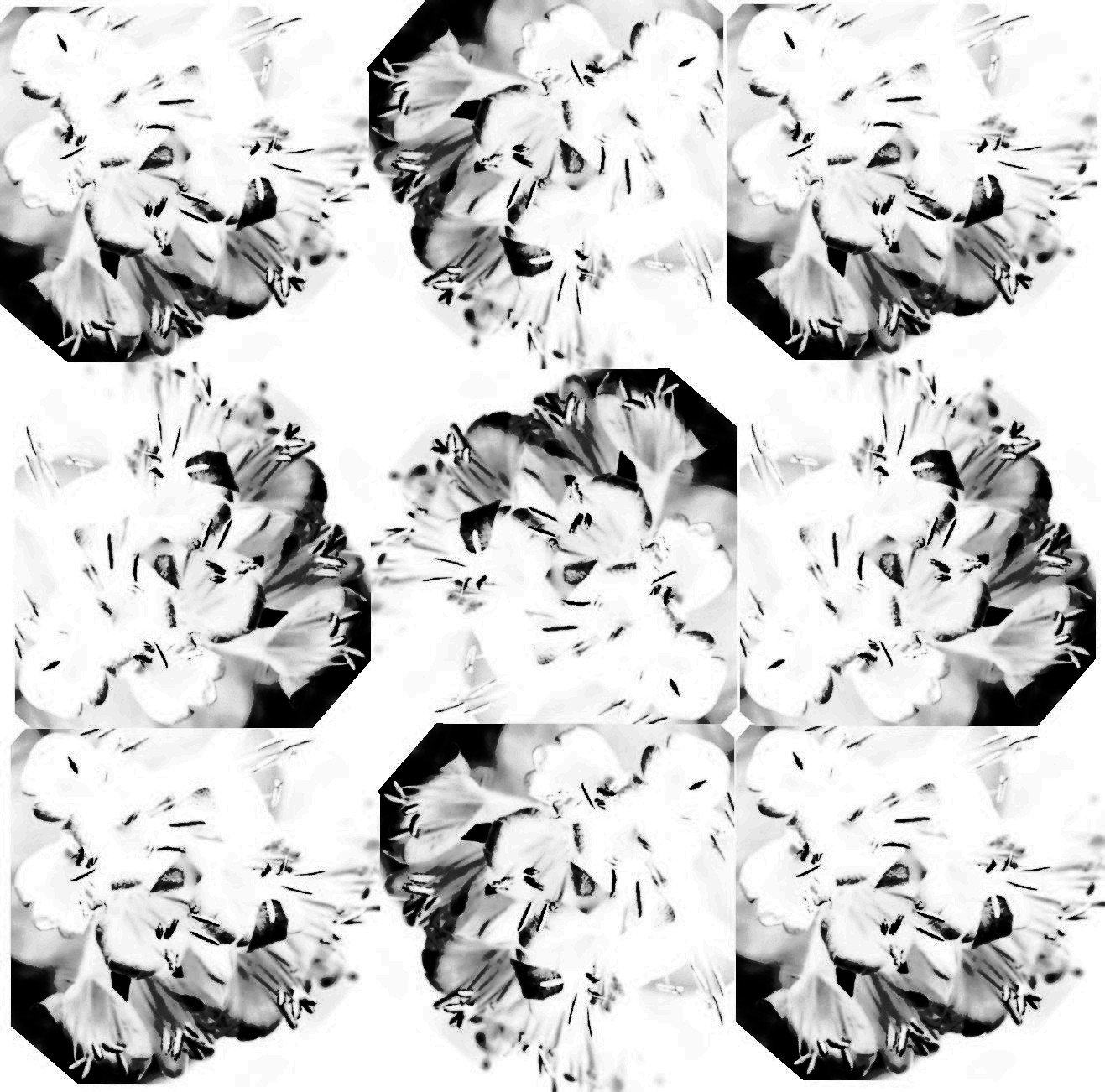 Free download This reminds me Victorian hydrangea wallpapers in pinks