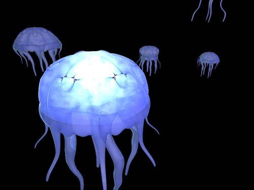 Back Gallery For Animated Moving Jellyfish