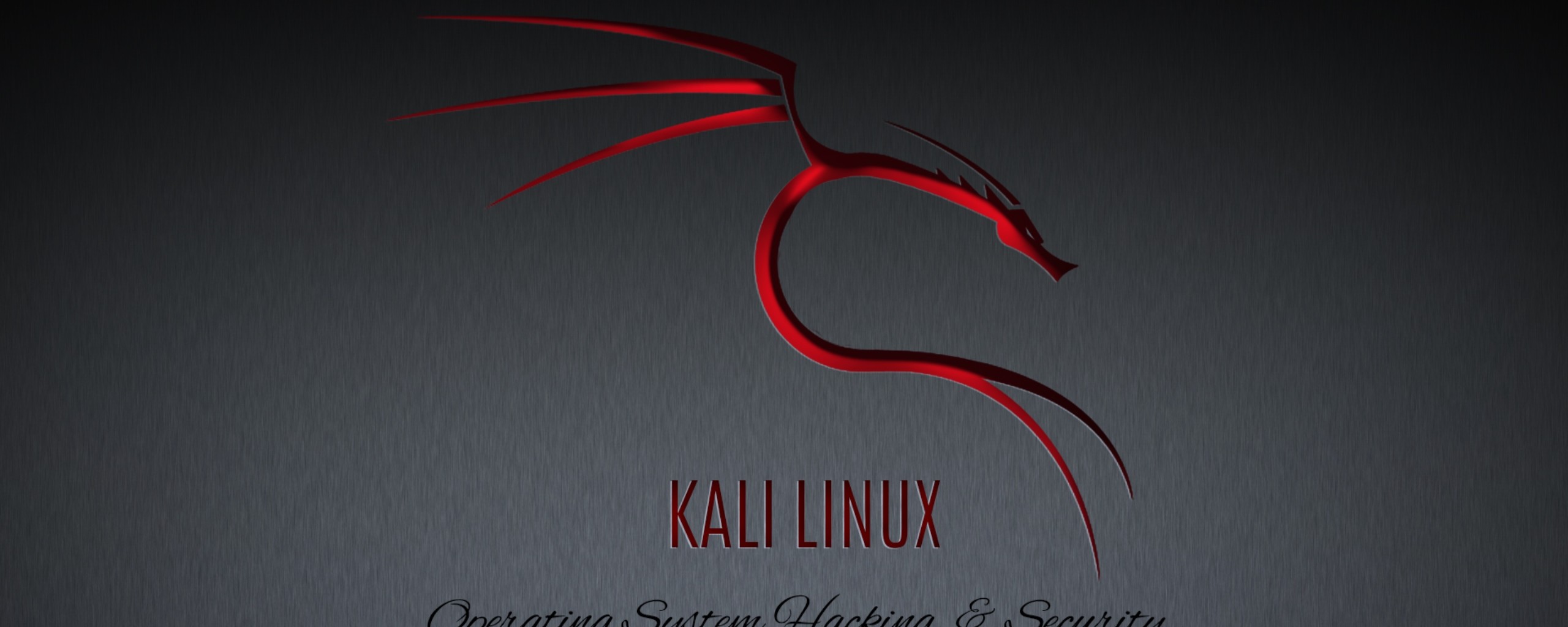 Kali Linux HD