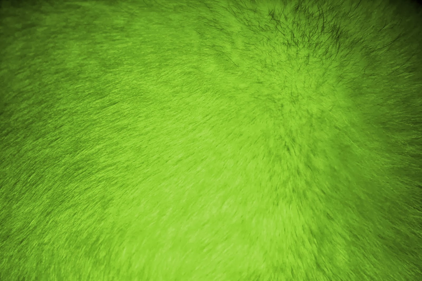 lime green wallpaper 2017   Grasscloth Wallpaper