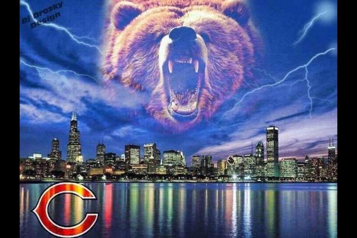 Chicago Skyline Go Bears Home Sweet