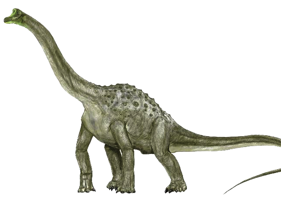 Free Dinosaur pictures free printables dinosaurs cliparts