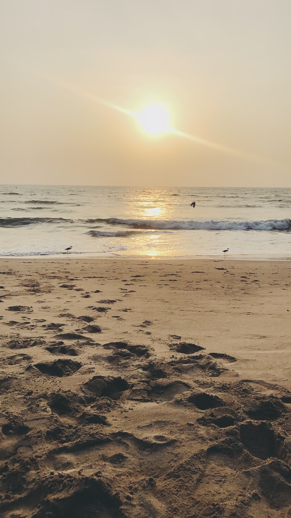 Goa Pictures HD Image