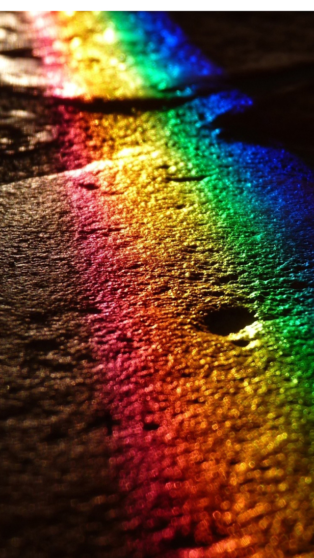 Rainbow Forest iPhone Wallpaper  iPhone Wallpapers