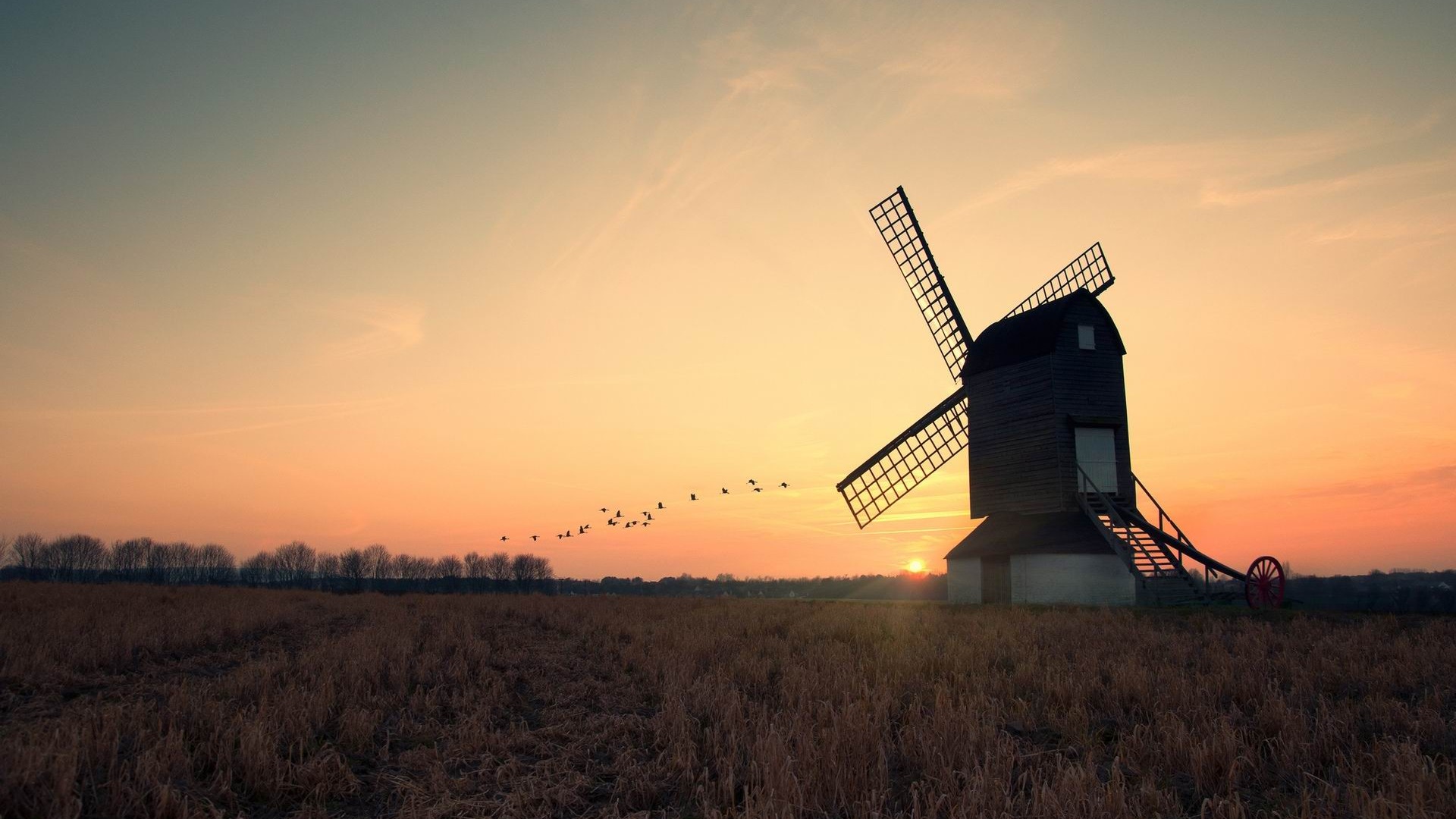 Wonderful Windmill Wallpaper X