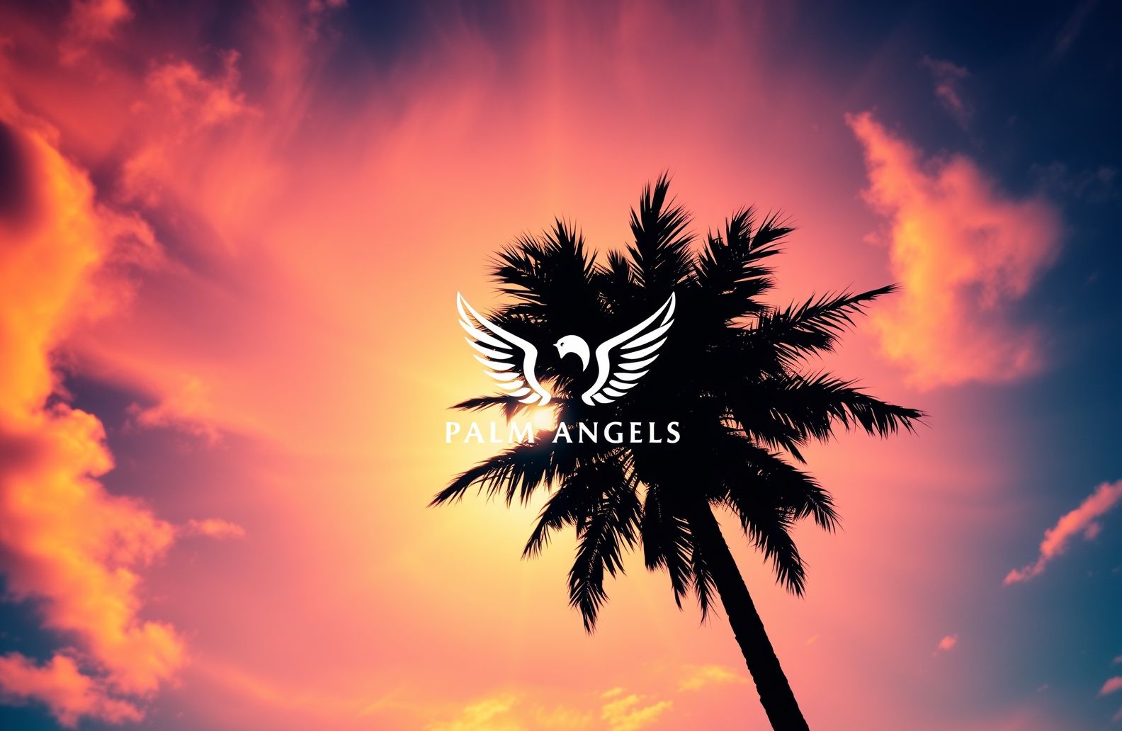 Palm Angels Wallpaper