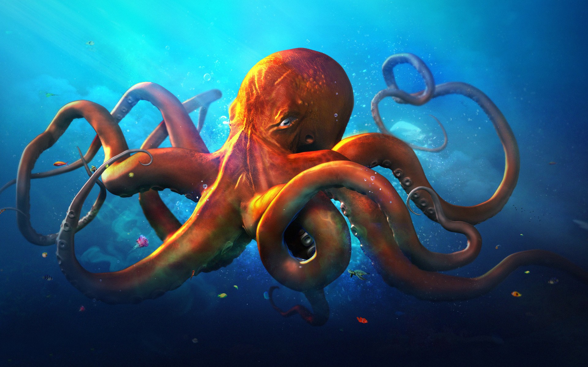 Octopus Wallpaper Creative HD Animal Image
