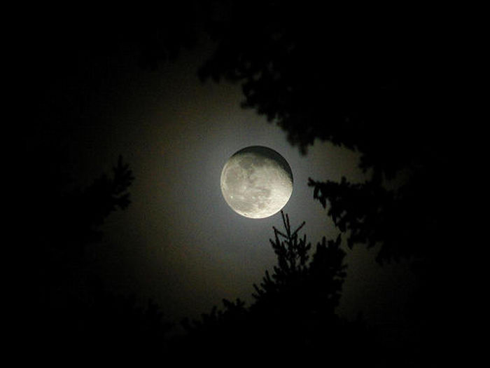 Cool Wallpaper Scary Full Moon