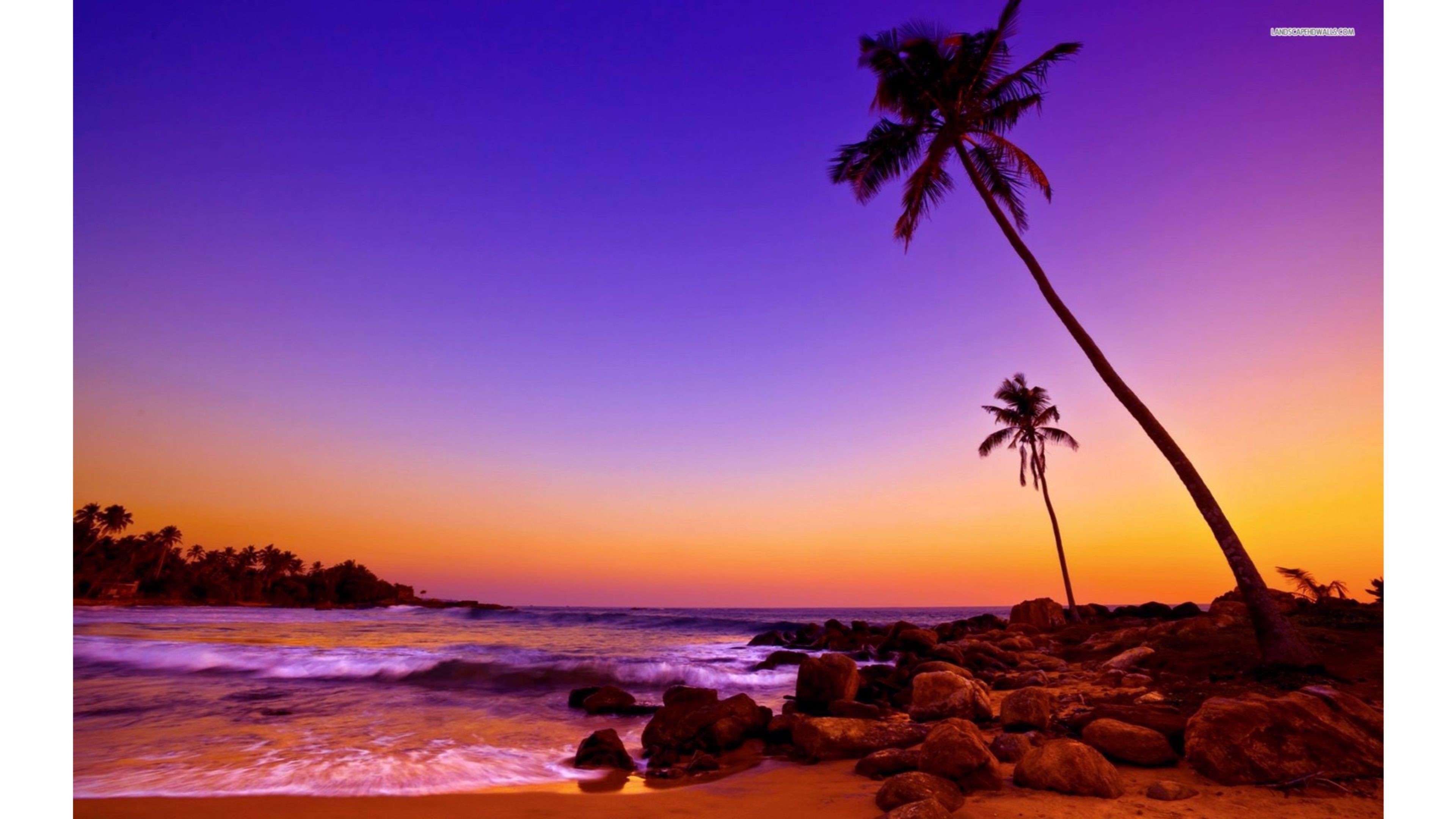 Silhouette of palm trees on a tropical island beach at sunset
