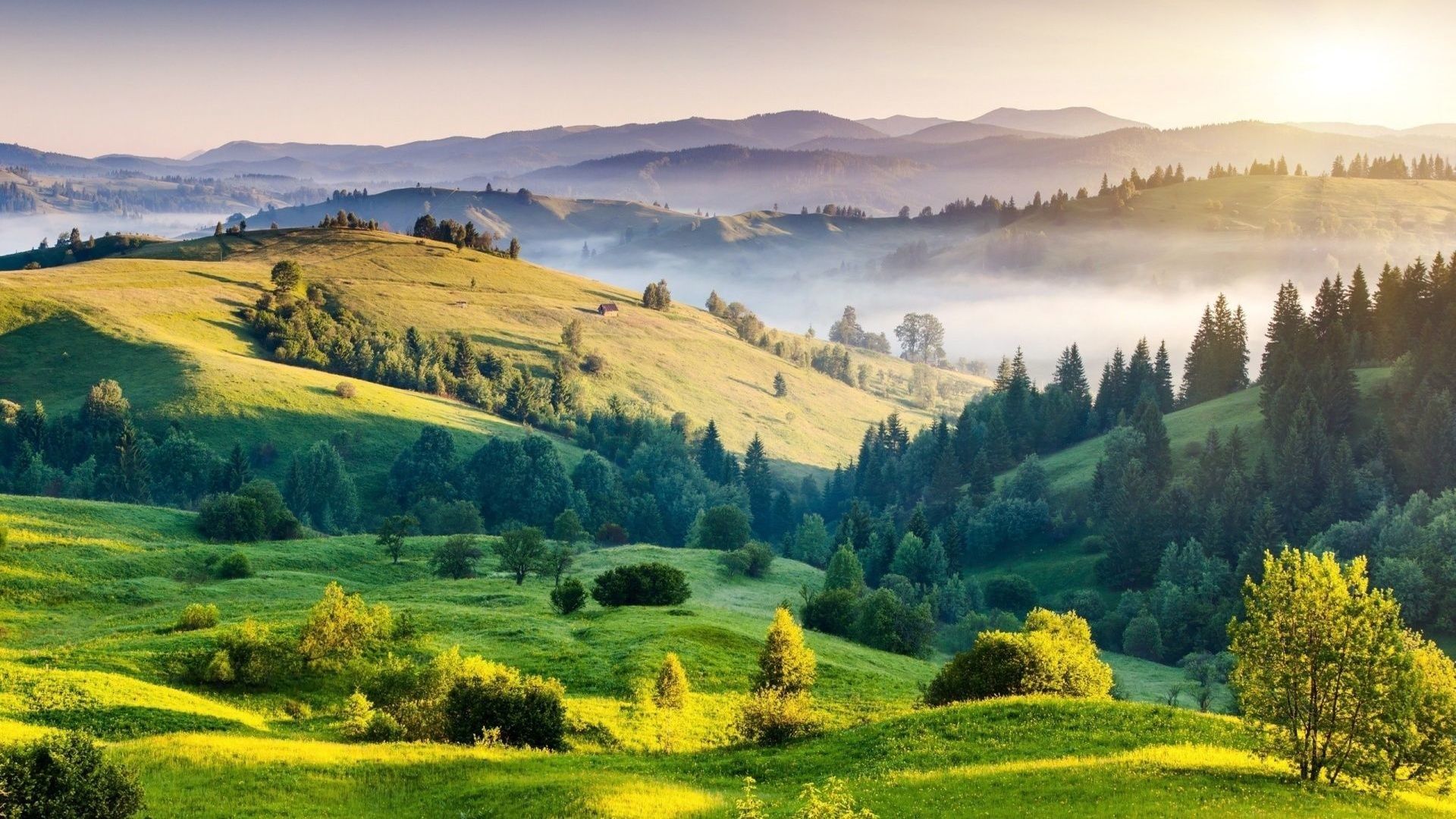 Herunterladen HD Hintergrundbilder Sommer Natur H Gel