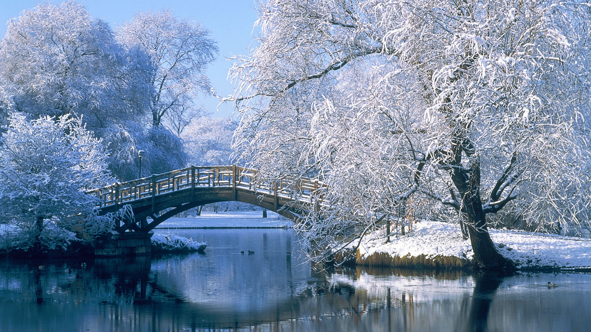 Lake Wallpaper Central Park Winter Wonderland New York City