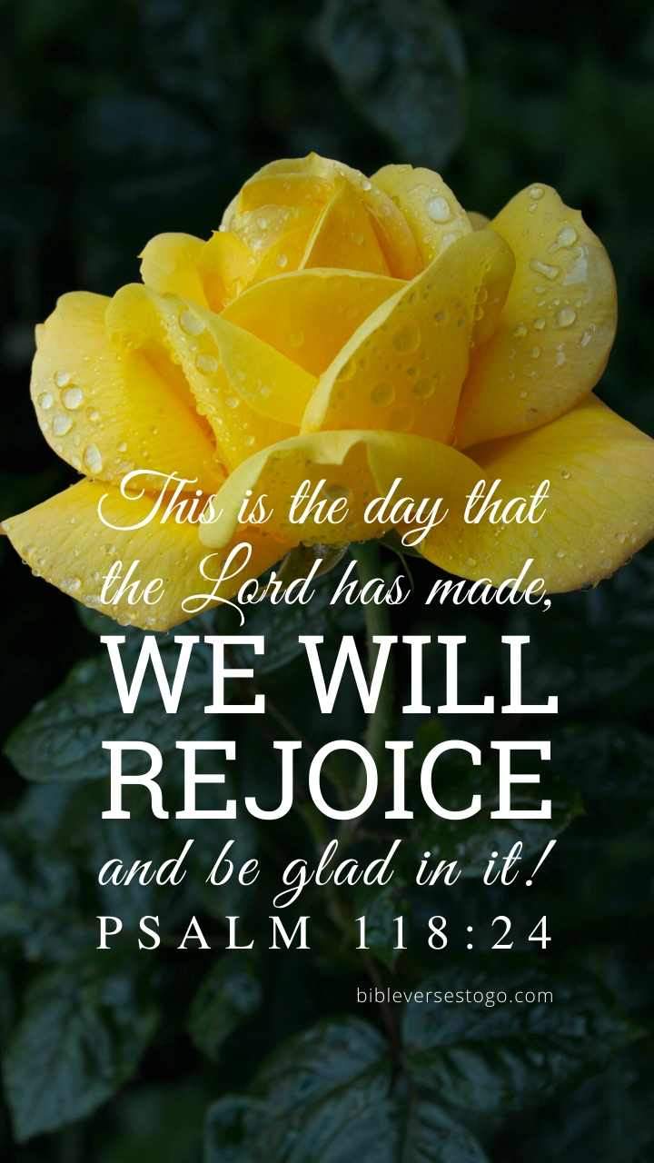 Yellow Rose Psalm Phone Wallpaper Bible Verses To Go