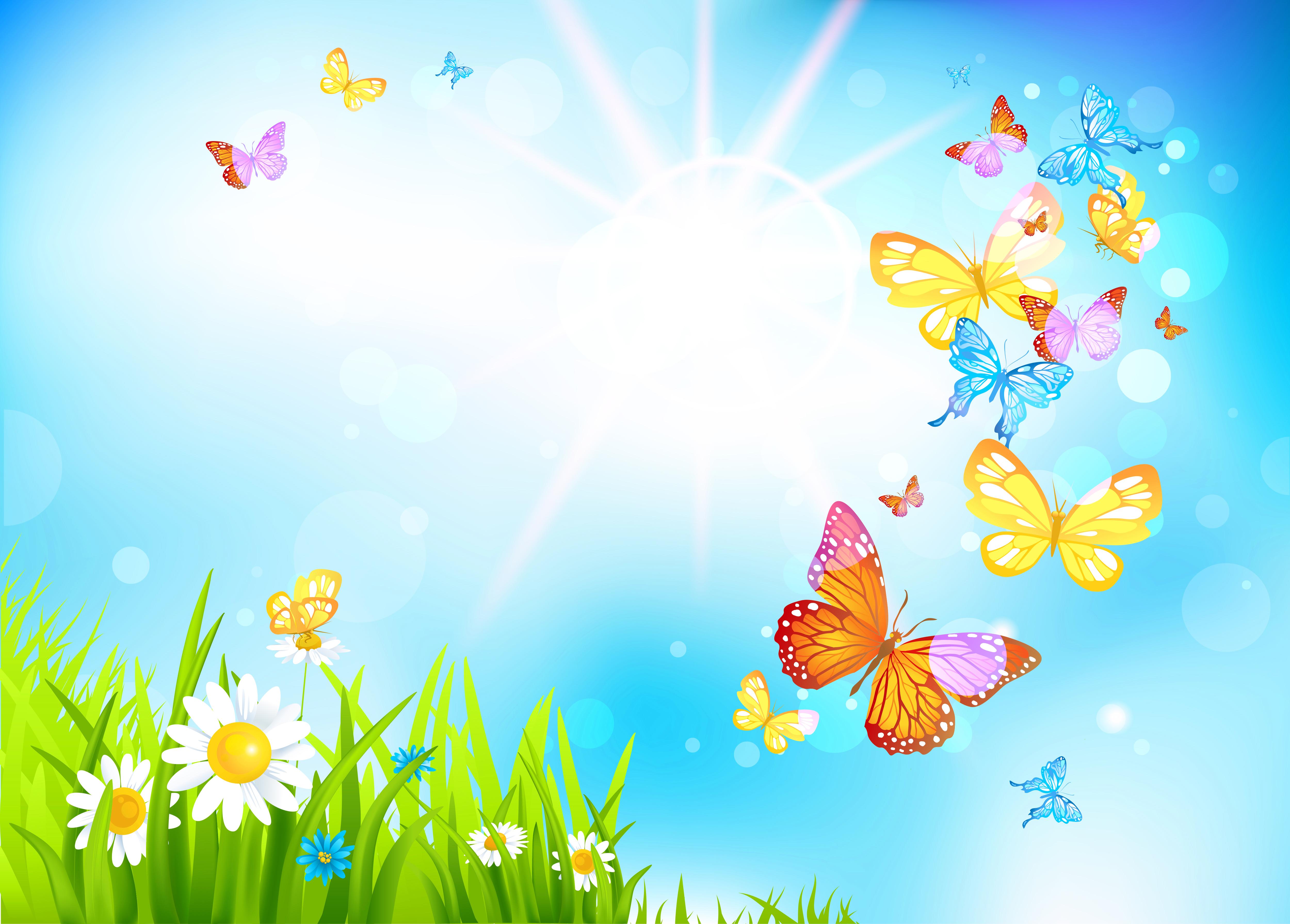 Spring Wallpaper Butterfly Background HD