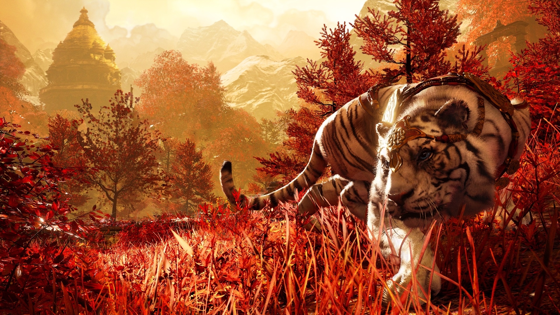 Far Cry Wallpaper Shangri La Tiger