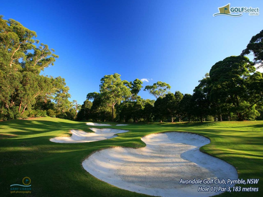 Golf Wallpaper Widescreen HD In Sports Imageci