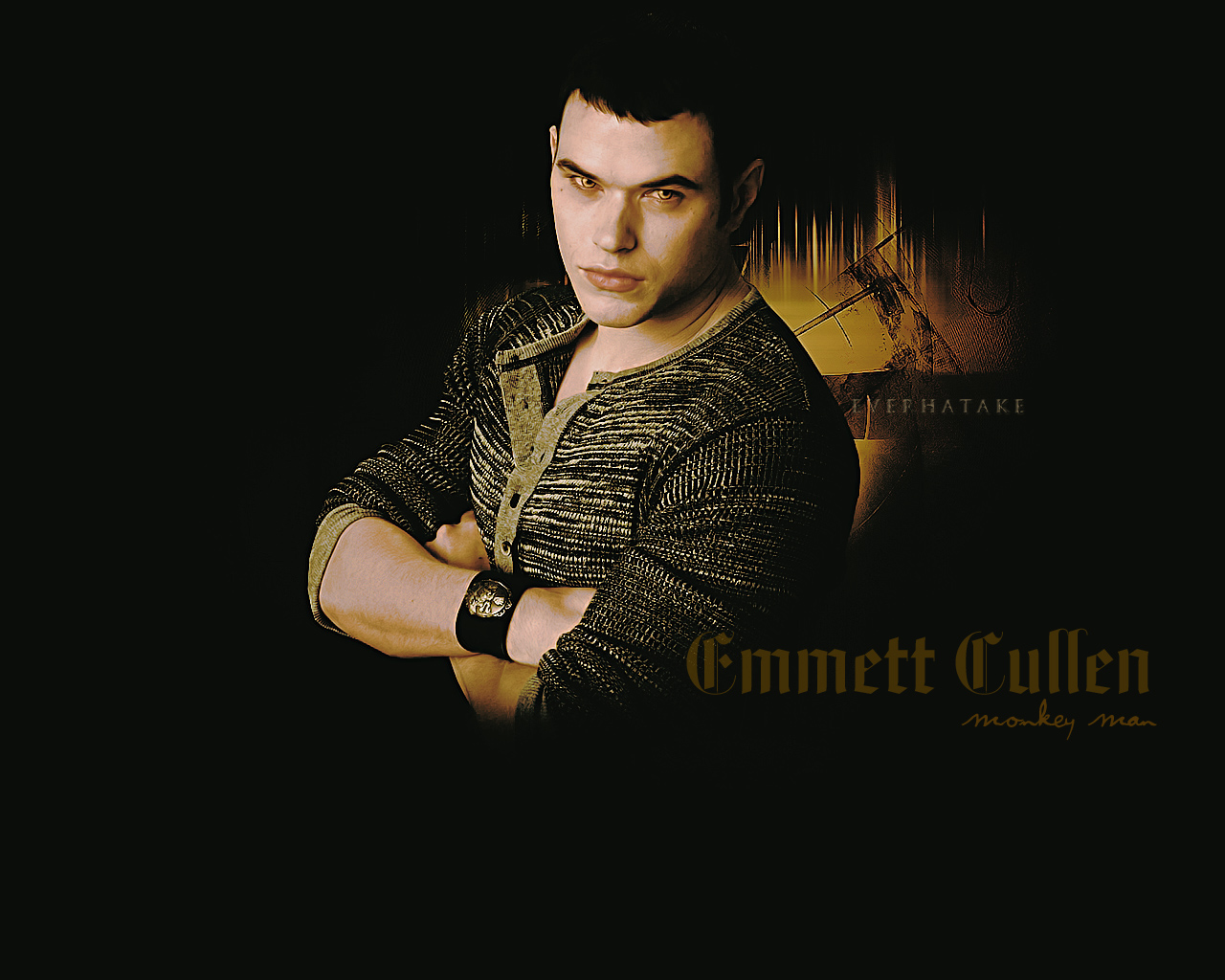 Emmett Cullen By Everhatake