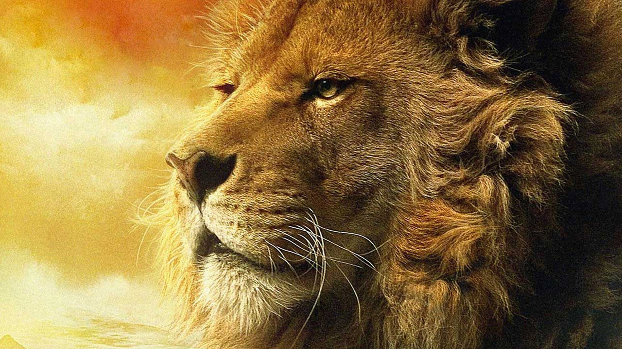 Mighty Lion Wallpaper HD S