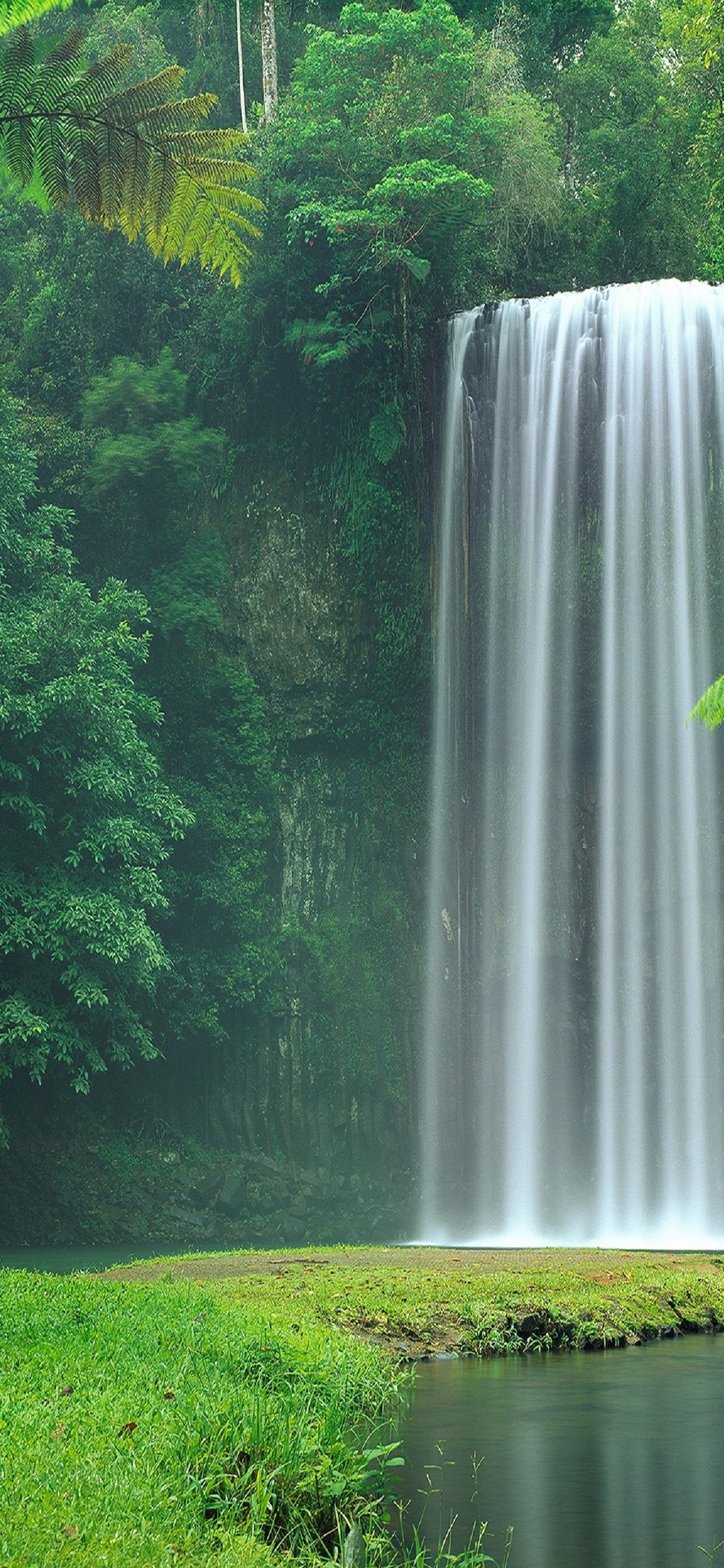 A breathtaking waterfall cascades down a lush green cliff face in a tropical rainforest, creating a serene and picturesque natural landscape perfect for an iPhone 14 Pro Max wallpaper