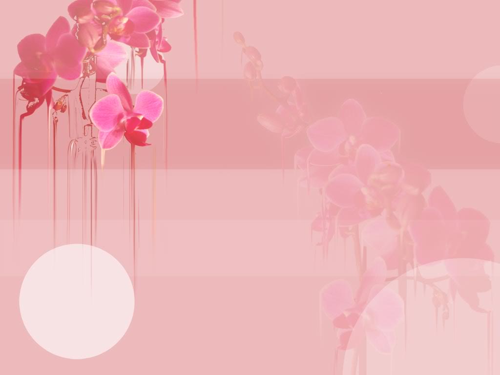 This Is The Orchid Flower Frame Border Background Image You Can Use