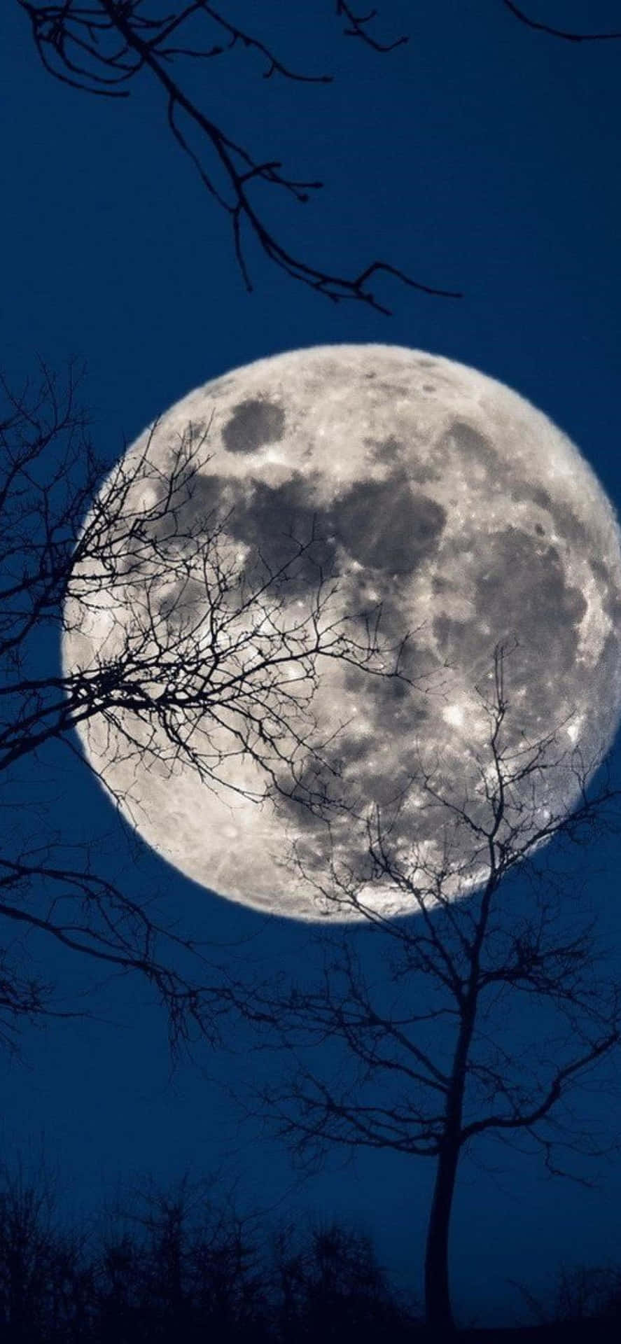 The Moon iPhone Wallpaper